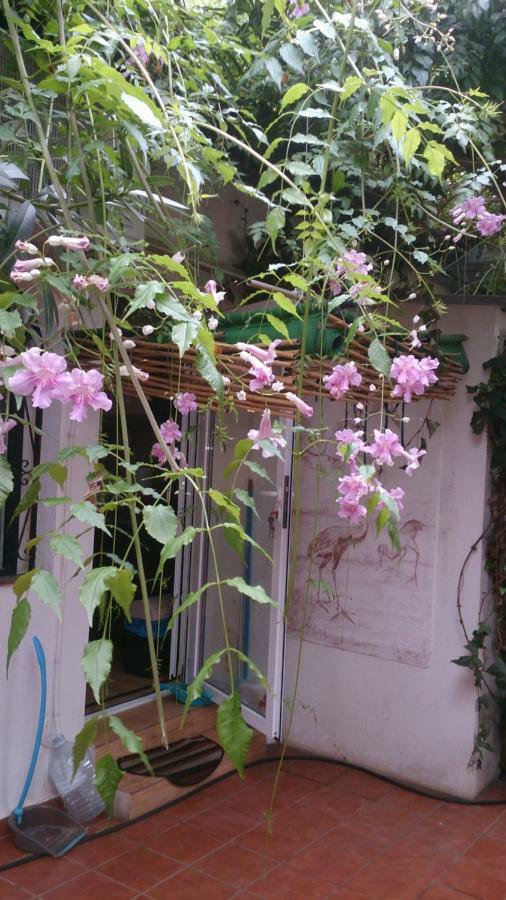 Madamme Curie Apartment 托雷维耶哈 外观 照片