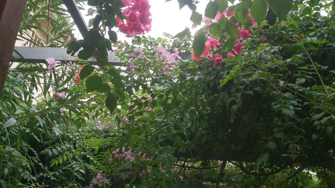 Madamme Curie Apartment 托雷维耶哈 外观 照片