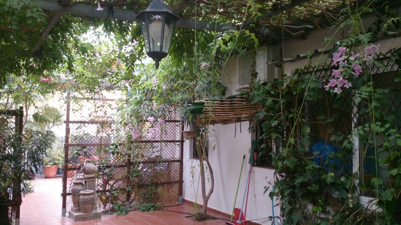 Madamme Curie Apartment 托雷维耶哈 外观 照片